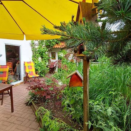 Ferienhaus Julchen Samtens Buitenkant foto